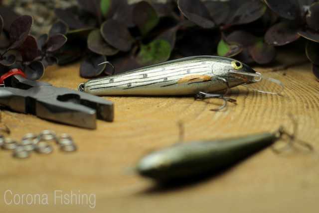 wobler pstrągowy lipień